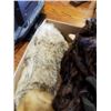 Image 2 : BOX OF FUR JACKETS, COLLARS, SHAWL
