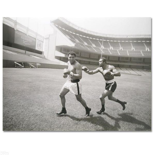 Licensed Photograph (40" x 30") of the Heavyweight Champs Muhammad Ali and Ken Norton.