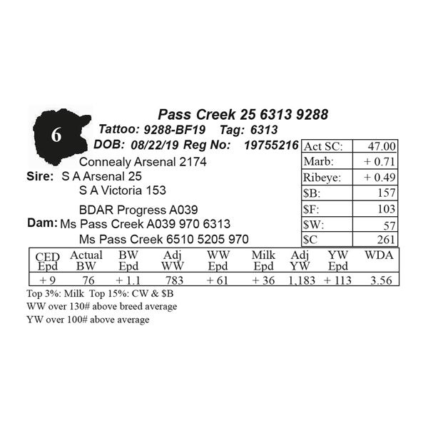 Pass Creek 25 6313 9288