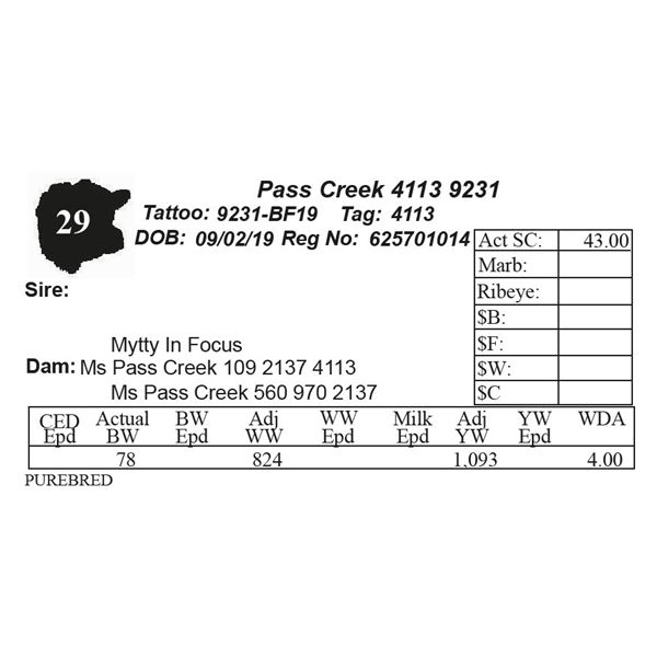 Pass Creek 4113 9231
