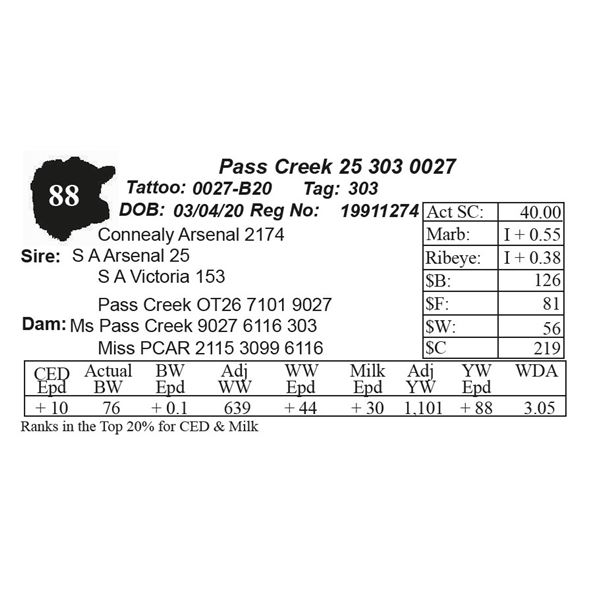 Pass Creek 25 303 0027