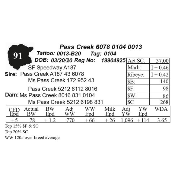 Pass Creek 6078 0104 0013