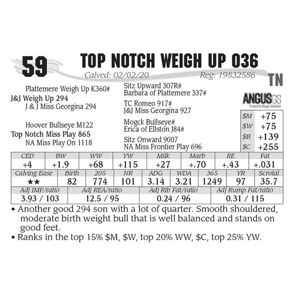 Top Notch Weigh Up 036