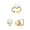Image 1 : 14K Gold Ring and Earrings Set #1690932