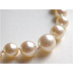 Akoya Pearls 1930s #1722541