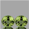 Image 1 : Natural AAA Color Change Turkish Diaspore Pair - FL
