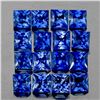 Image 1 : Natural Princess Blue Sapphire 16 Pcs [VVS]
