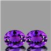 Image 1 : Natural Purple Amethyst Pair 11x9 MM{Flawless-VVS}