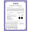 Image 2 : Genuine 31.15 ctw Black Spinel & Diamond Earrings 14KT Rose Gold - REF-48P9H