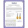 Image 2 : Genuine 10 ctw Citrine Earrings 14KT White Gold - REF-45T3A
