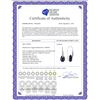 Image 2 : Genuine 8.06 ctw Sapphire & Diamond Earrings 14KT White Gold - REF-60P3H