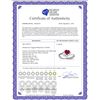 Image 2 : Genuine 1.02 ctw Ruby & Diamond Ring 14KT White Gold - REF-35T5A