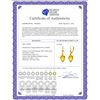 Image 2 : Genuine 19 ctw Citrine Earrings 14KT Yellow Gold - REF-35P9H