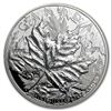 Image 2 : 2013 1 oz Silver Maple Leaf PF-70 NGC (ER, Piedford, 25th Anniv)