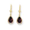 Image 1 : 14k 10x7 mm Pear Garnet Leverback Earrings