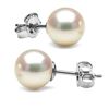 Image 1 : White Hanadama Japanese Akoya Pearl Earrings, 7.5-8.0mm