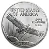 Image 2 : 2008 1 oz Platinum American Eagle BU