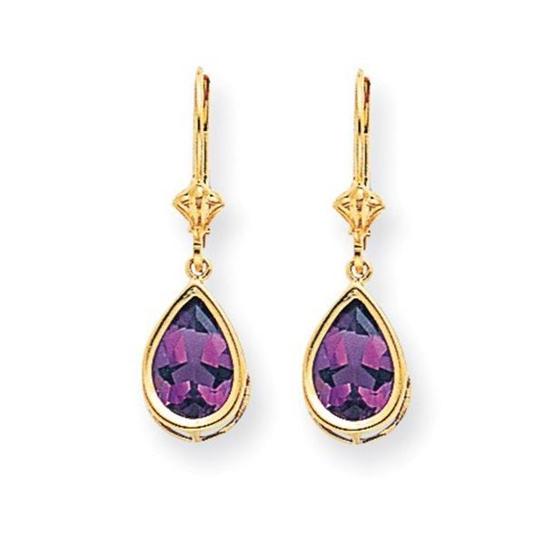 14k 10x7 mm Pear Amethyst Leverback Earrings
