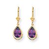 Image 1 : 14k 10x7 mm Pear Amethyst Leverback Earrings