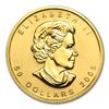 Image 2 : 2005 Canada 1 oz Gold Maple Leaf BU