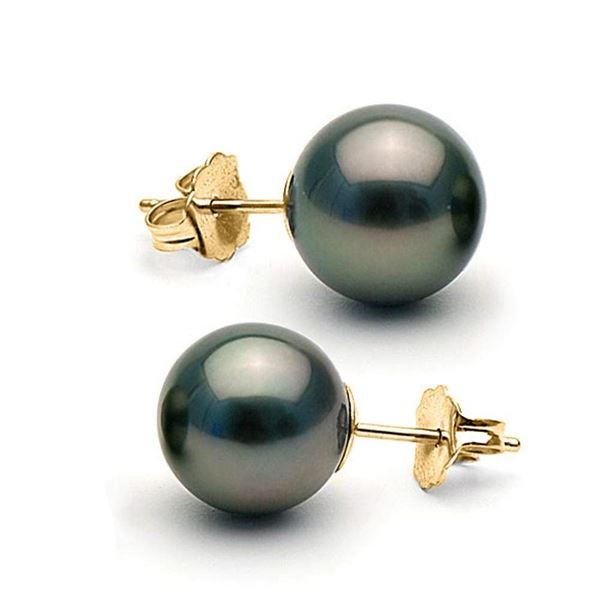 Black Tahitian Pearl Stud Earrings, 10.0-11.0mm