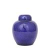 Image 1 : Old Chinese Cobalt Blue Porcelain Tea Caddy  #1696400