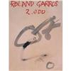 Image 1 : Rare Roland Garros #1710677