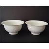pair Chinese  White porcelain Bowl Relief #1725651
