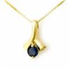 Image 1 : 0.33 ctw Blue Sapphire Pendant 10k Yellow Gold - REF-5W2R