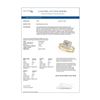Image 4 : 1.01 ctw Certified VS/SI Princess Diamond 2pc Set Halo 14k Yellow Gold - REF-111Y8X