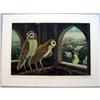 Image 1 : Mel Hunter, "Barn Owls" #1682905