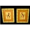 Image 1 : Pair of Antique Bird Paintings With Feathers #1683411