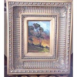 Dan Persinger Sunset & Eucalyptus Trees #1697469