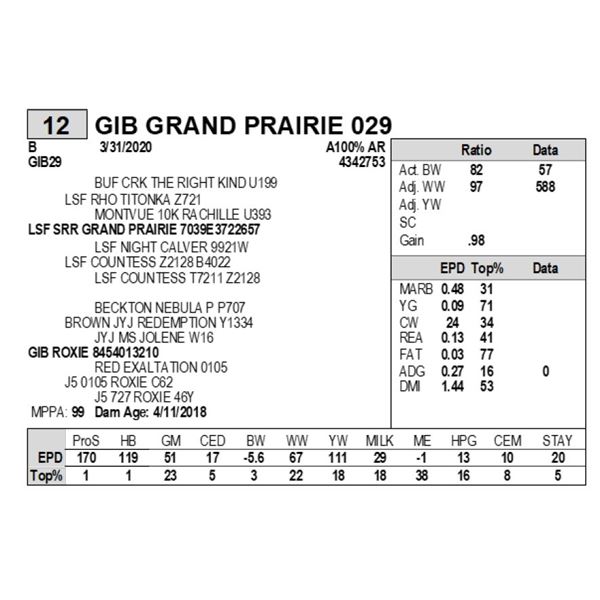 GIB GRAND PRAIRIE 029