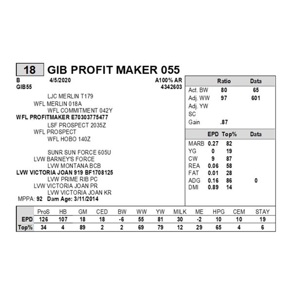 GIB PROFIT MAKER 055