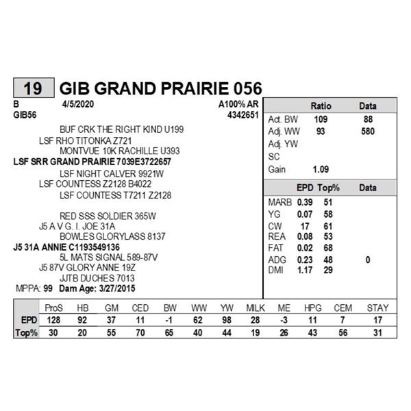 GIB GRAND PRAIRIE 056