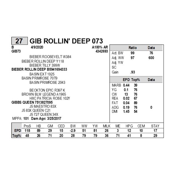 GIB ROLLIN' DEEP 073