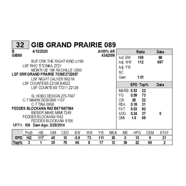 GIB GRAND PRAIRIE 089