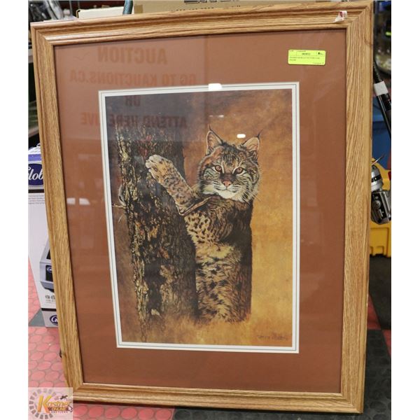 FRAMED BOBCAT PICTURE-OAK FRAME