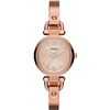 Image 1 : BRAND NEW FOSSIL ROSE 26MM GOLD TONE LADIES WATCH