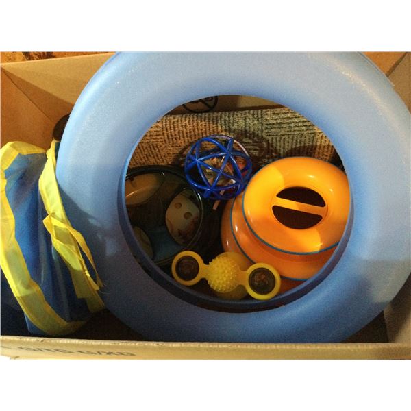 BOX OF CAT TOYS
