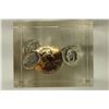 Image 1 : 2 1/4'' X 2/34'' LUCITE PAPER WEIGHT WITH 1960