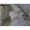 Image 8 : Stone Carved Horse Statue 18" W, 24.5" Tall