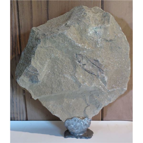 Fish Skeletal Fossil on Rock Slab w/ Stand, 10"Tall