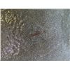 Image 2 : Glazed Ceramic Plate w/Black Stand,  9" Dia