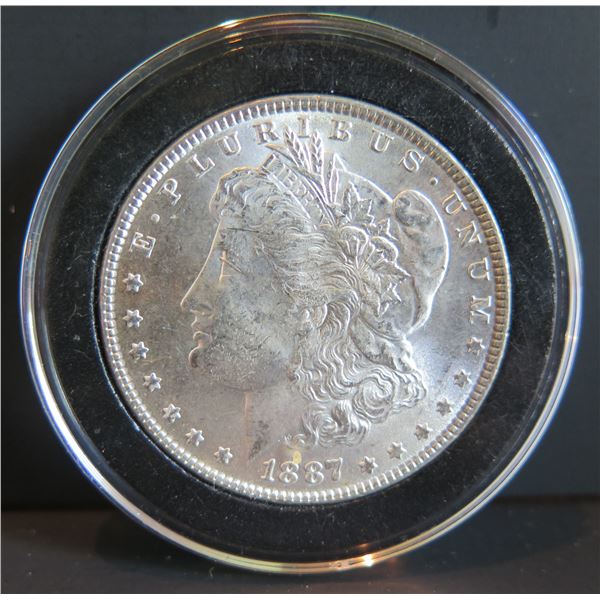 1887 Morgan Silver Dollar w/ Clear Case