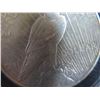 Image 8 : 1928 Peace Silver Dollar w/ Clear Case