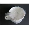 Image 25 : Qty 5 Wedgewood Dinnerware, Vera Wang, Bone China, White w/Gilt Trim
