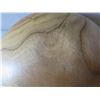 Image 8 : Qty 3 Turned Wooden Bowls, Misc Wood, Signed