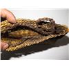 Image 8 : Qty 3 Carved Wooden Bowl, Woven Bamboo Trivet & Fiber Woven Bag